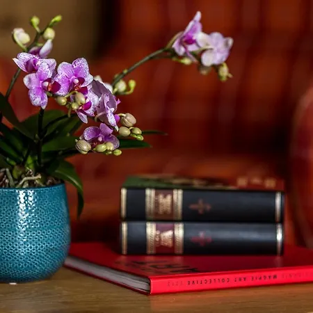 Aunhamer & (adults Only)