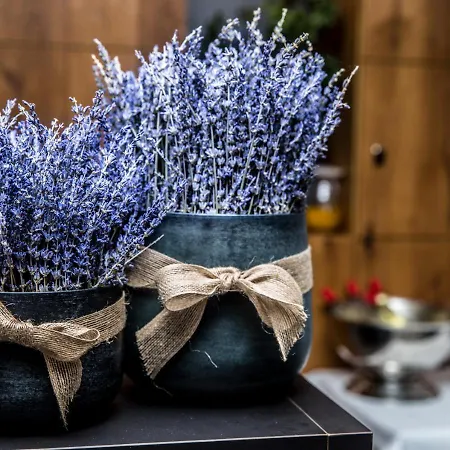 Szálloda Aunhamer & (adults Only) Bad Griesbach