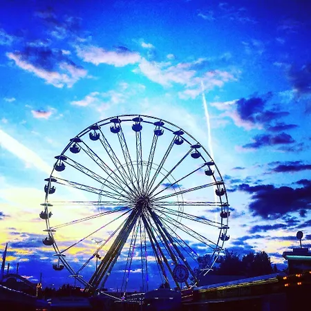 Aunhamer & (adults Only)