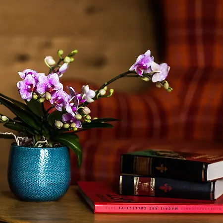 Aunhamer & (adults Only) Szálloda Bad Griesbach